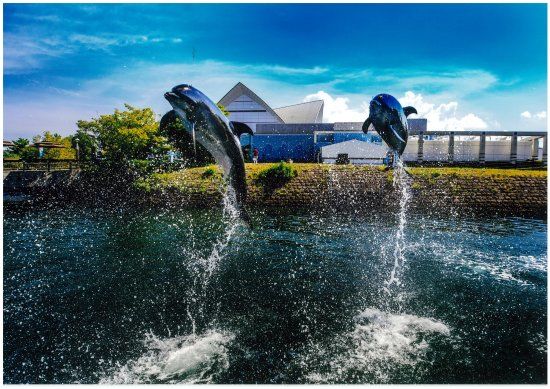 Kagoshima City Aquarium
